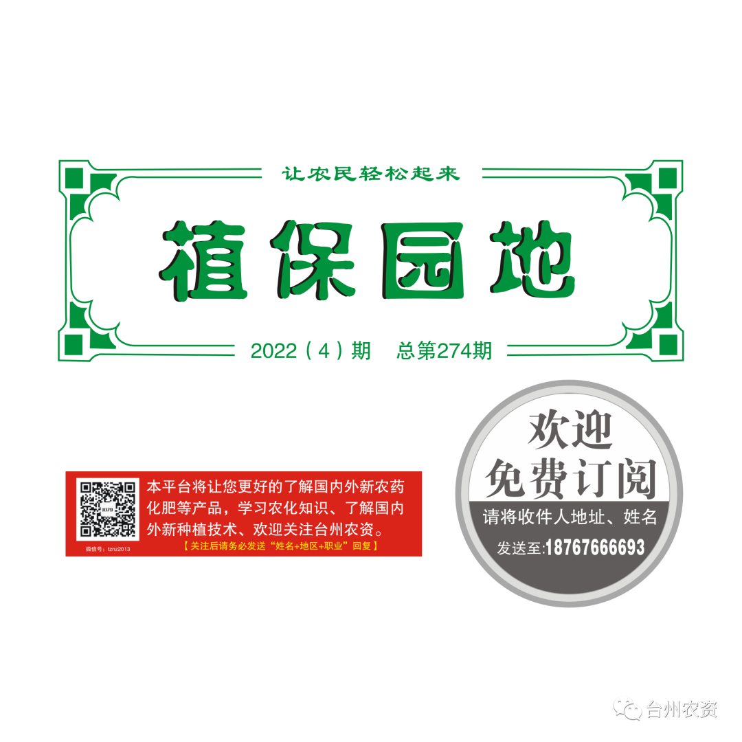 氣溫驟降，大棚西瓜做好以下幾點(diǎn)工作